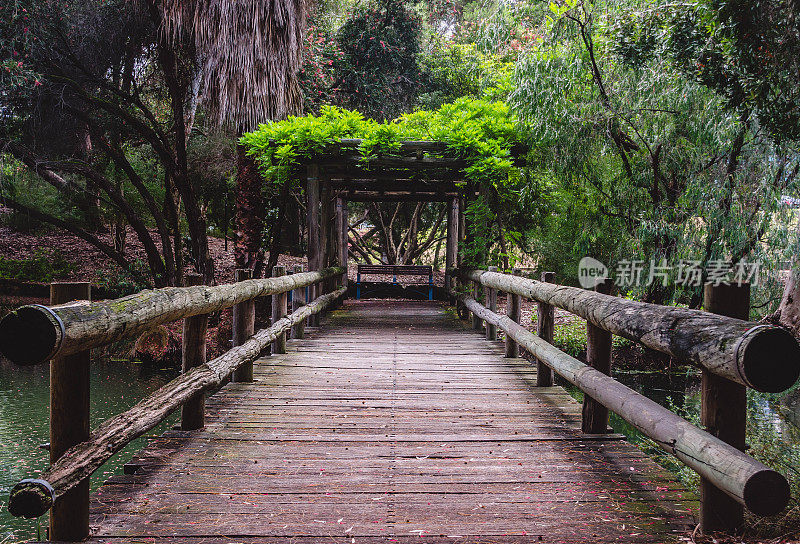 公园里小溪上的木桥