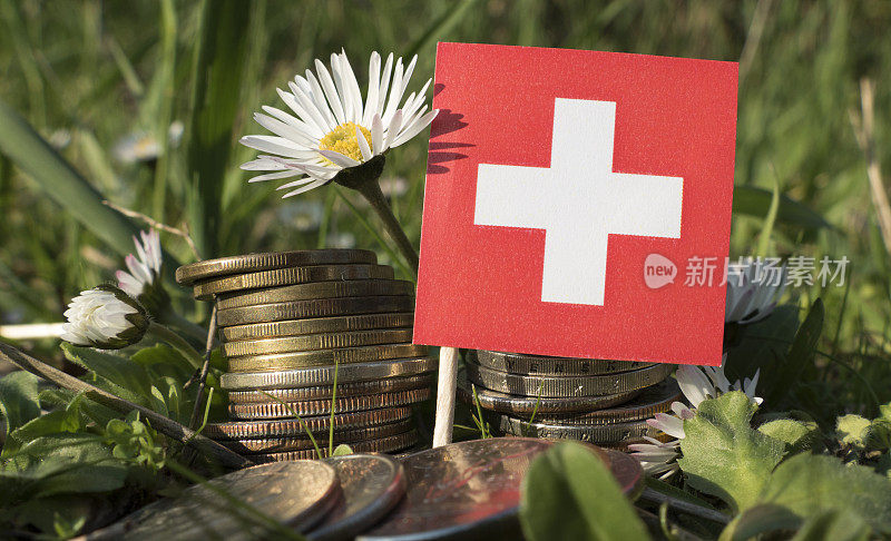 瑞士国旗上有一叠钱币，上面有草和花
