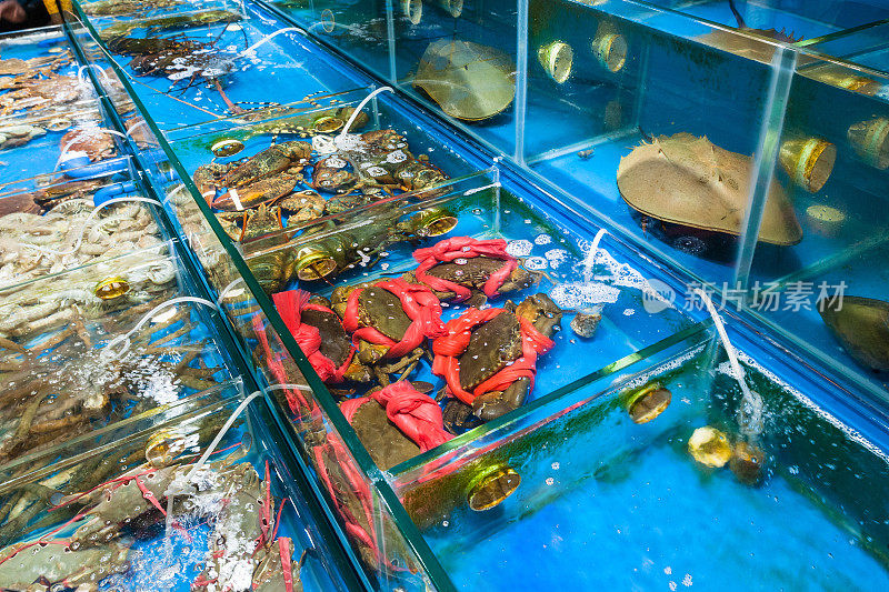 广州鱼市的螃蟹和小龙虾