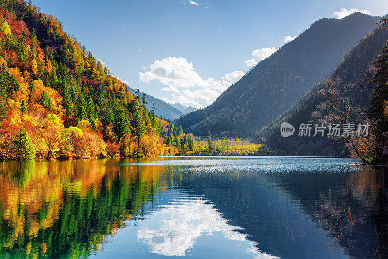 熊猫湖令人惊叹的景色。秋林倒映在水中