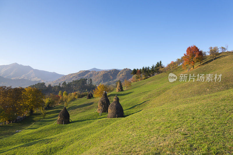 秋色田园风光