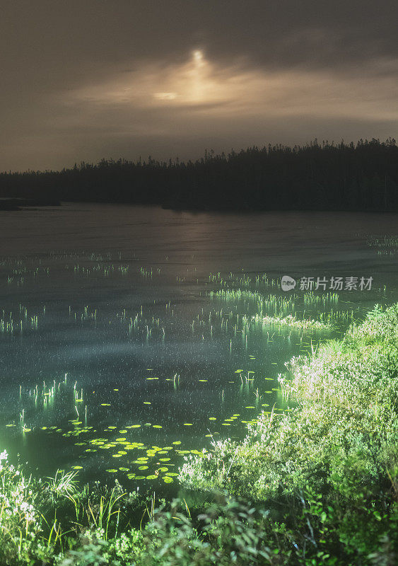 月光下着雨