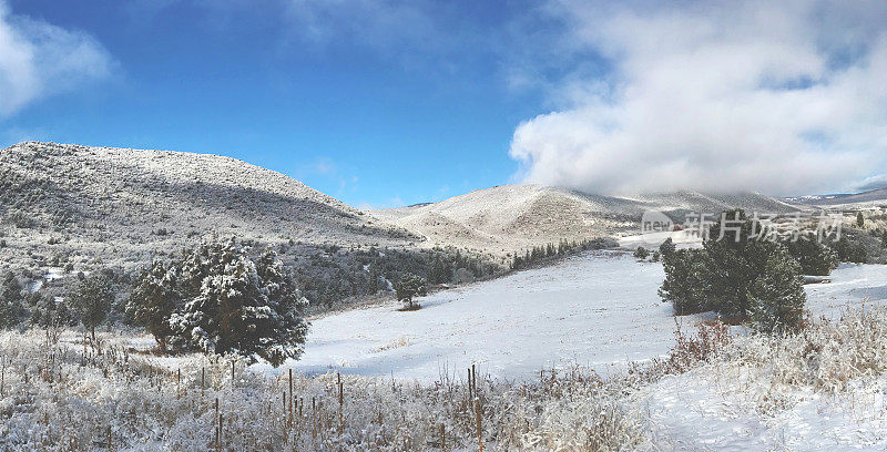 白色风景-高海拔西部科罗拉多冬季雪山全景