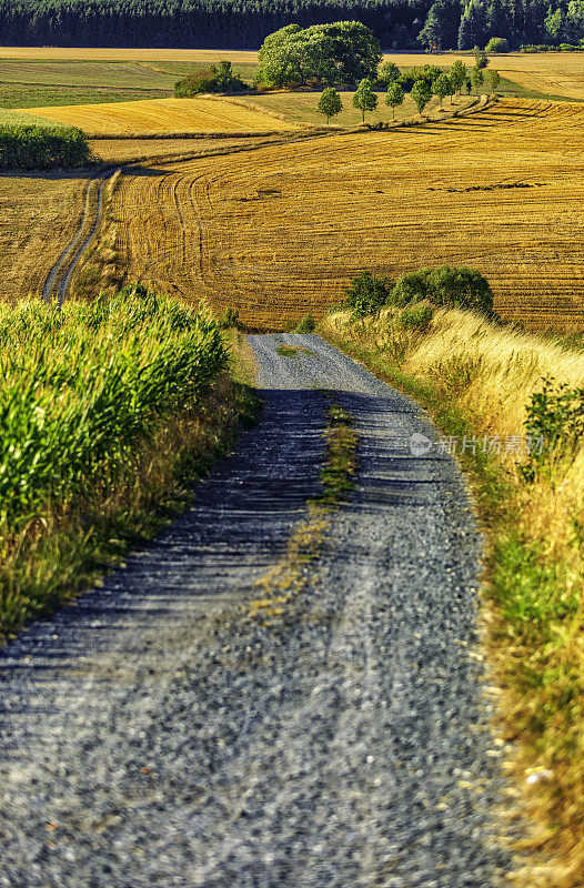 乡村景观中的乡村道路(HDRi)