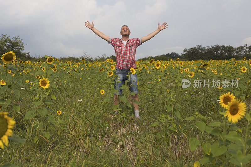 快乐的成年农民伸出双臂在他的土地上盛开的向日葵