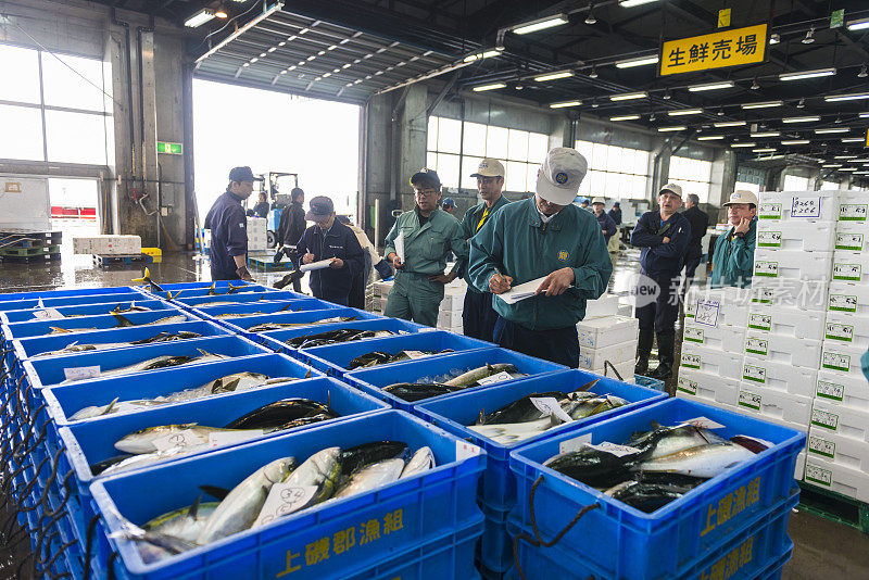 日本函馆鱼市的鱼拍卖