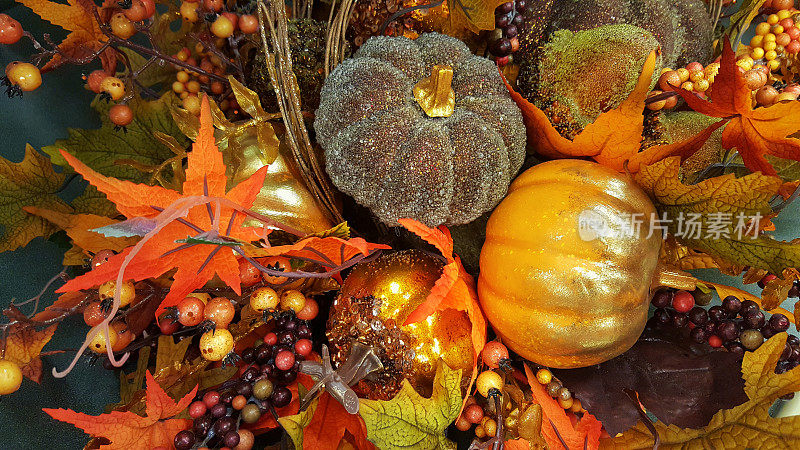 感恩节和万圣节的装饰用南瓜。秋天,秋天。