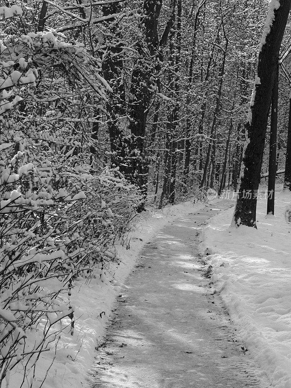 雪道路