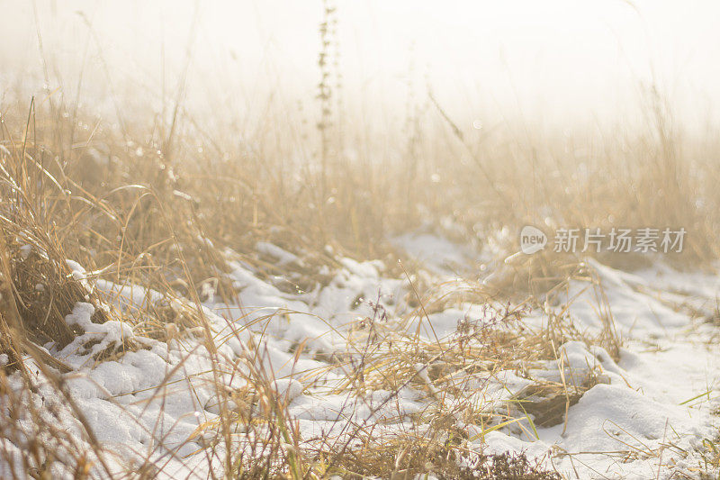 下雪的冬天的风景