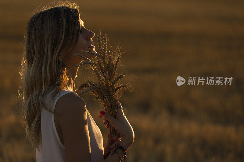 现代女孩拿着小麦，在田野里欣赏日落。夏天的概念。