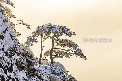 黄山国家公园冬季日出景观