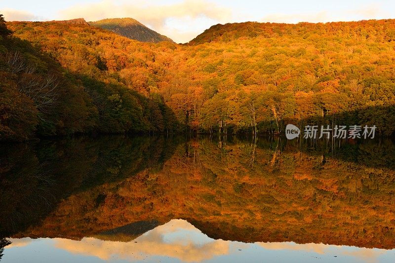 晨光的Tsuta-numa(沼泽)，和田市，日本东北部