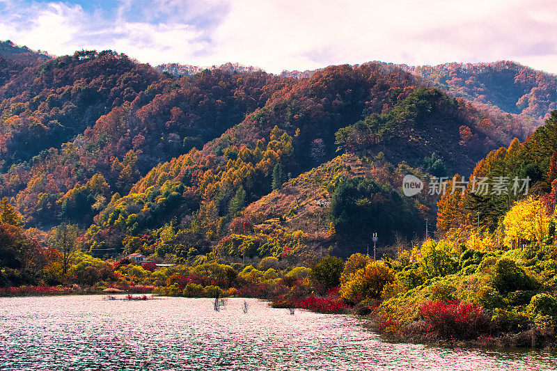 永丹湖瀑布花园