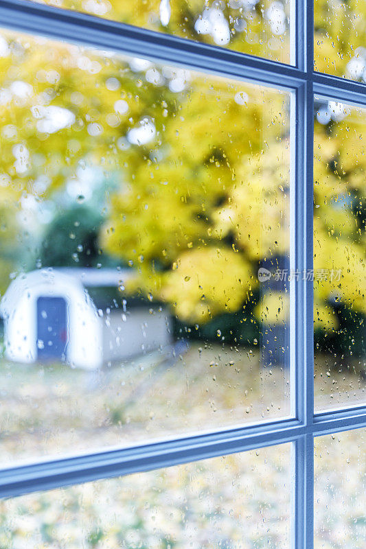 秋叶透过雨点落在后窗玻璃上