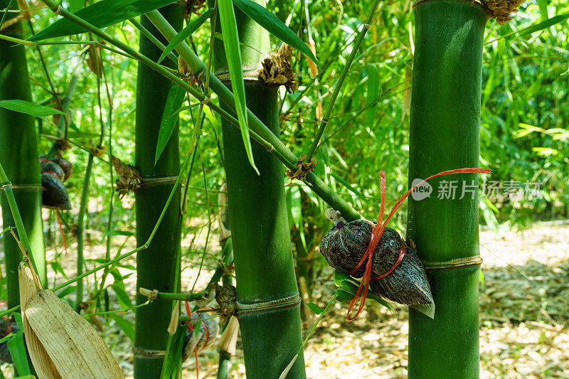 竹种通过扦插繁殖。、毛毛竹、毛毛竹、蚕丝。