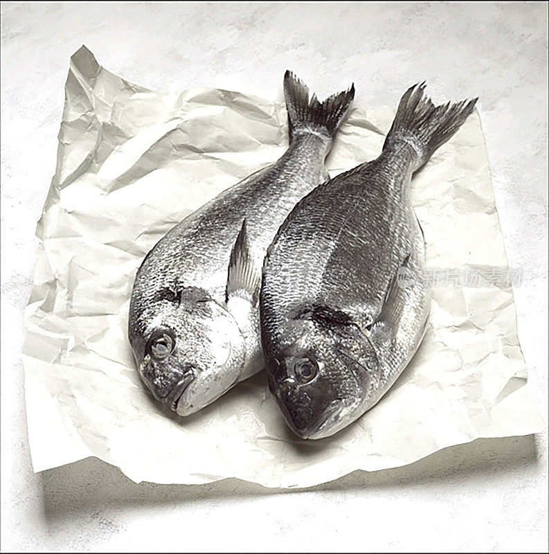 两条新鲜的生海鲷鱼
