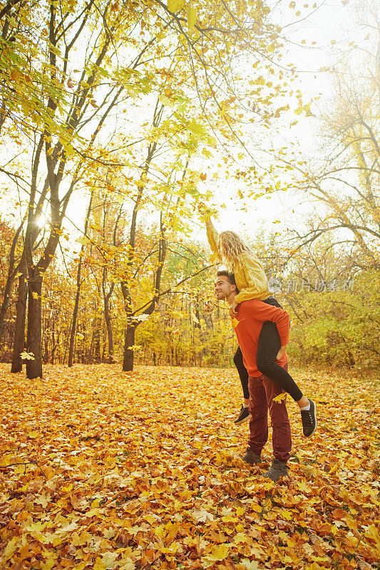 在秋天的森林里相爱的年轻情侣