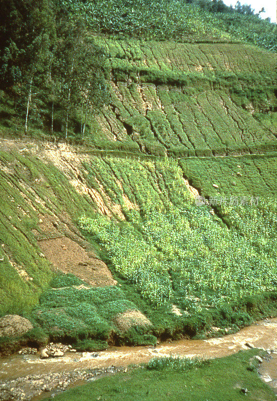 非洲卢旺达中部陡峭山坡上的严重侵蚀