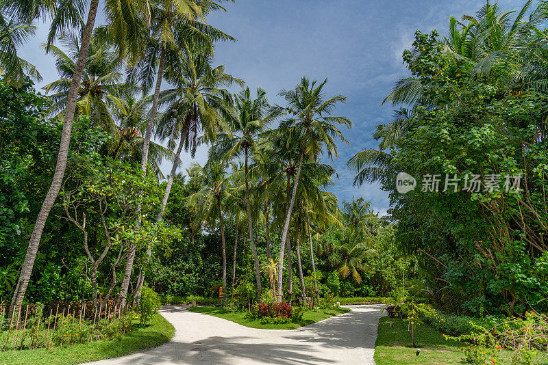 马尔代夫-阿亚达岛的蓝天、绿松石般的大海、白色的沙滩和绿色的棕榈树