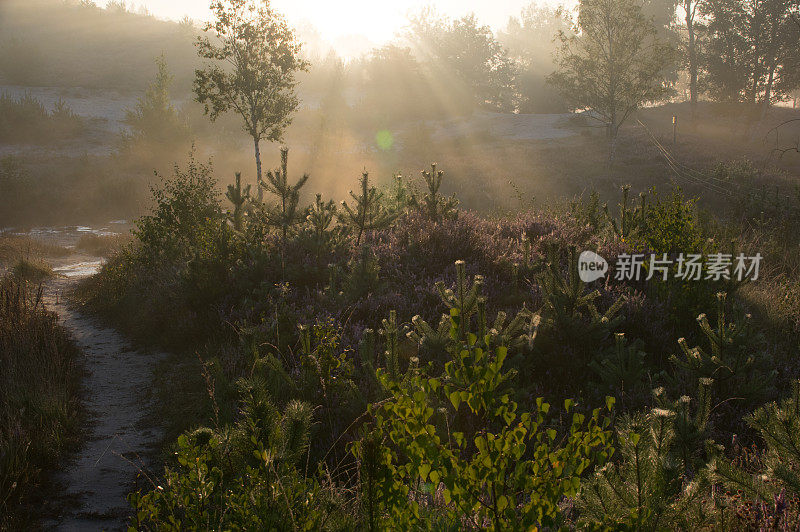 雾希思场景