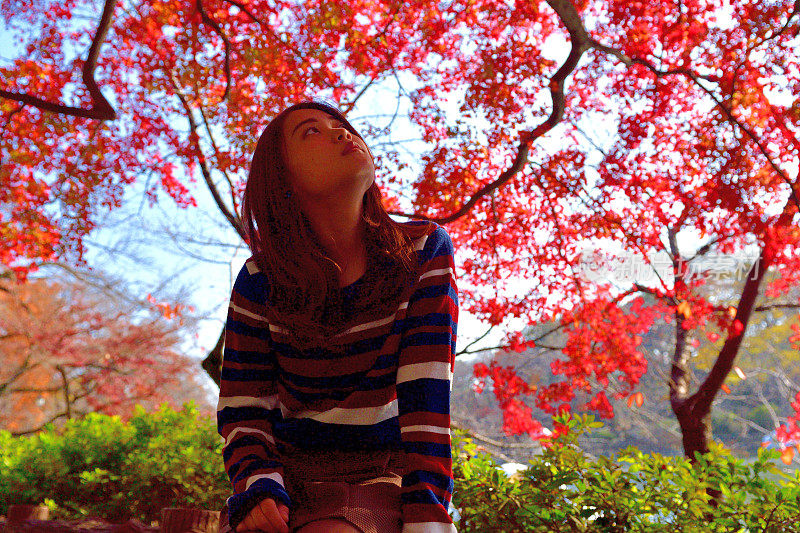 坐在日本东京猪城公园秋叶下的年轻女子