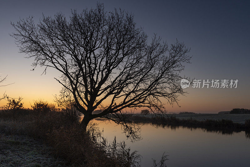 一条小河上的日出光秃秃的树