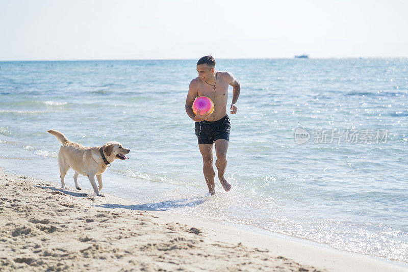 一个年轻人在海滩上和狗玩耍