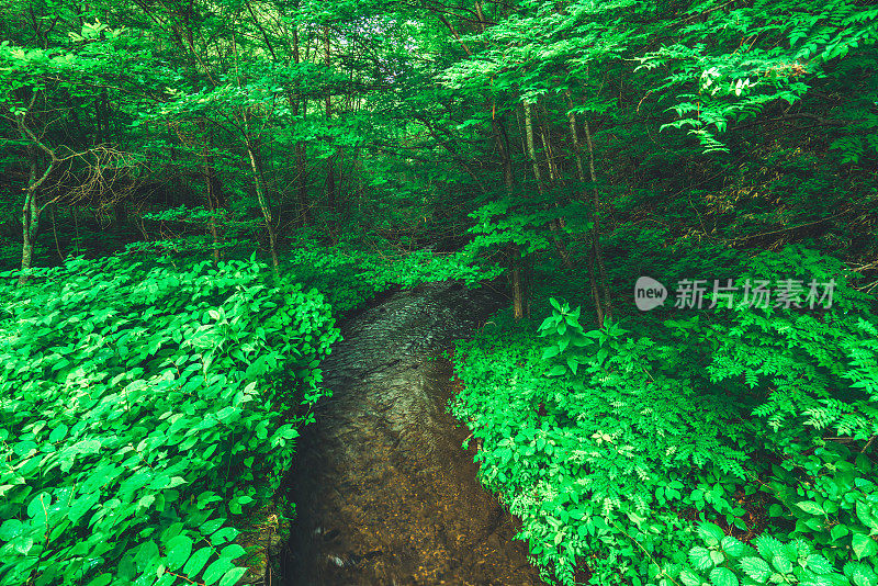 日本宁静的山溪景色