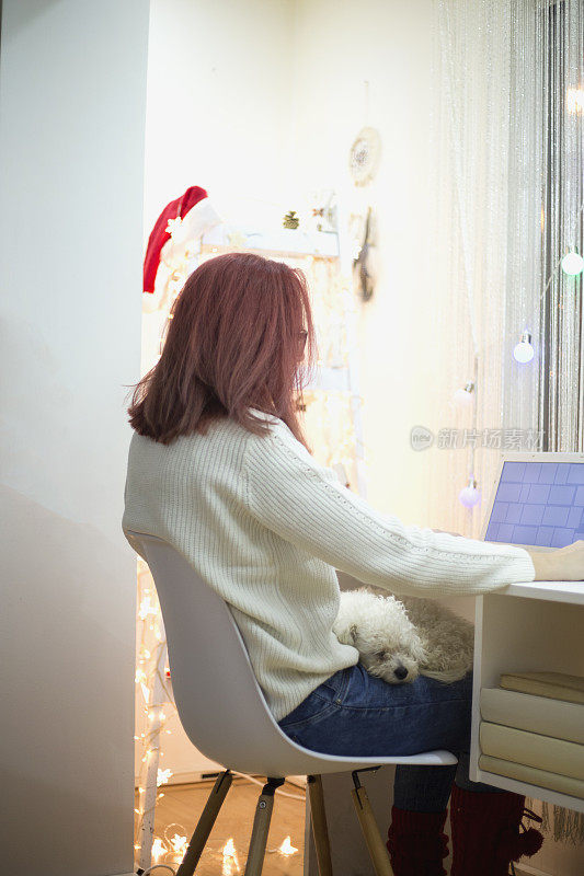 有型的红发女性在家办公，腿上抱着狗。景深，选择性聚焦