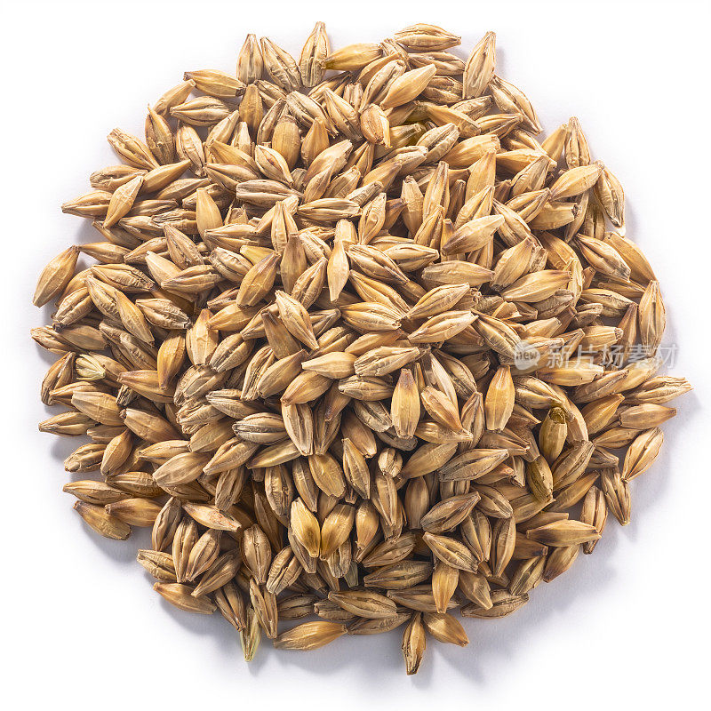 大麦，脱壳的普通种子，小径，顶部