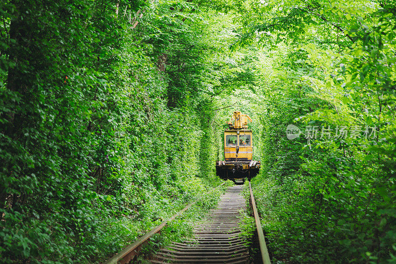 风景优美的火车在自然的绿色铁路隧道在夏天日出