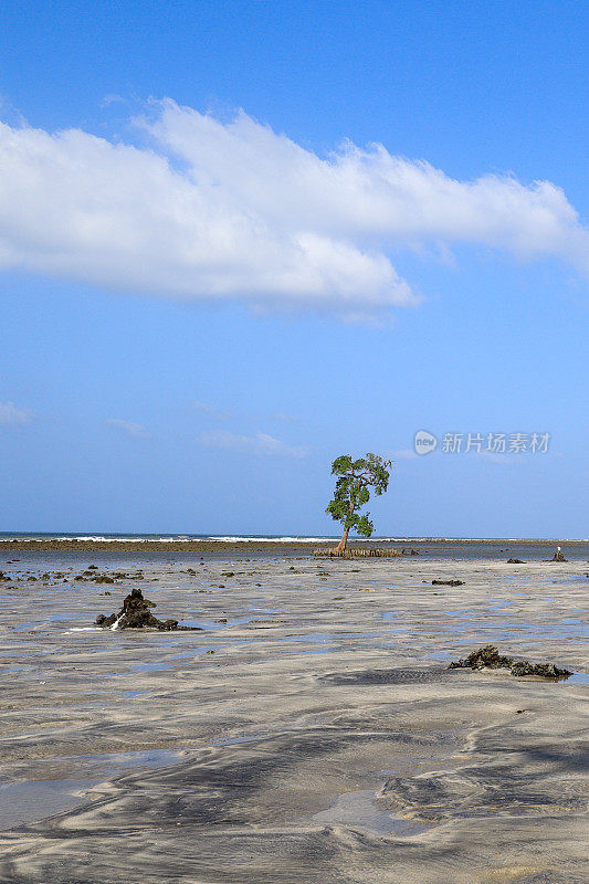 亚齐美丽海滩的全景