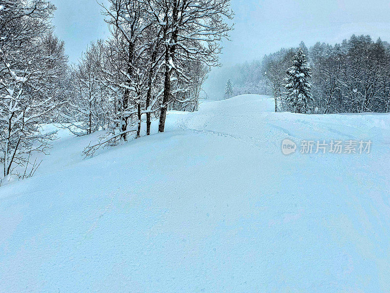 深粉日在北欧山谷滑雪胜地，犹他州。