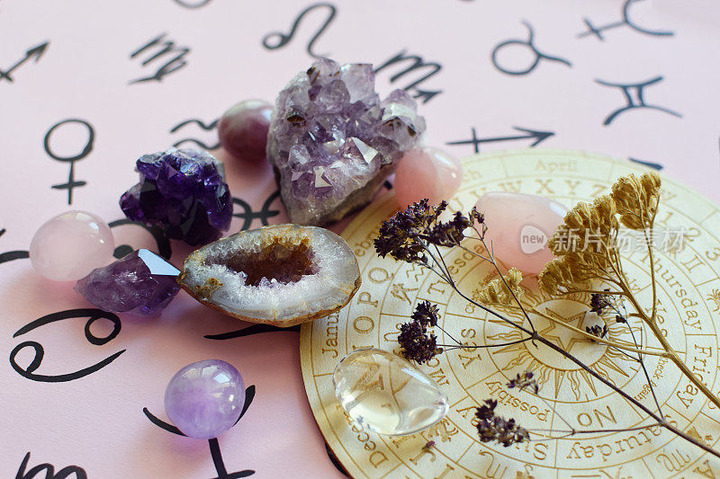 美丽的紫水晶晶体和干燥的草药在粉红色的背景与星座的符号。预言，巫术，深奥的精神实践。