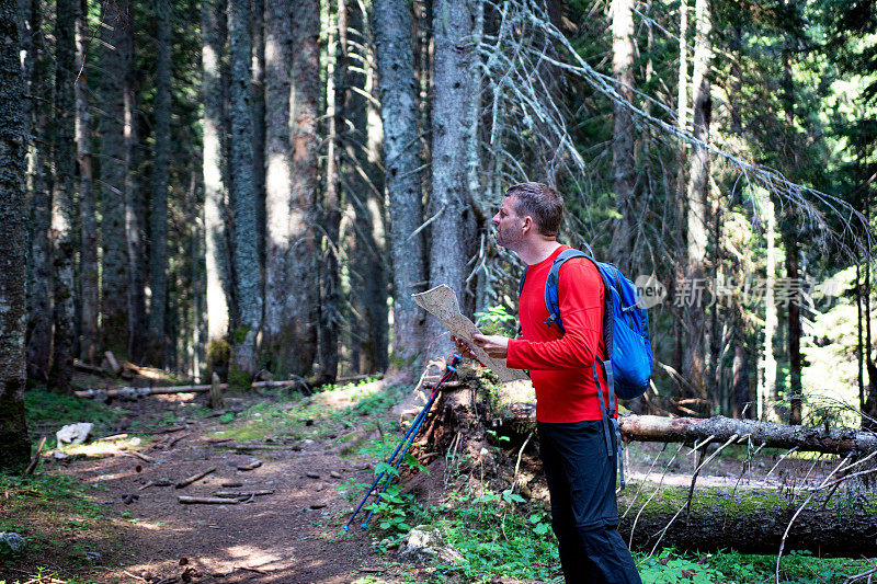 英俊的徒步旅行者在森林里拿着地图