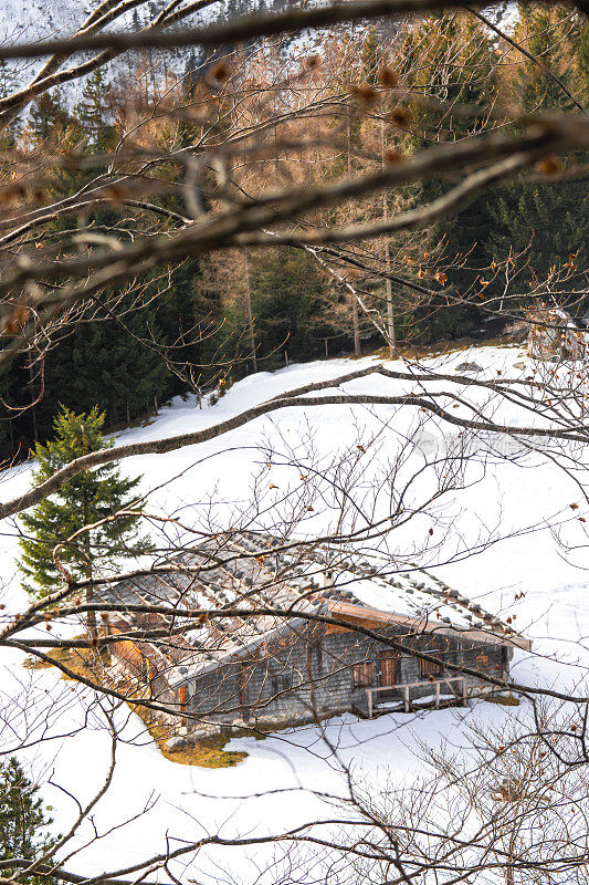 德国贝希特斯加登冬季森林环绕的木屋