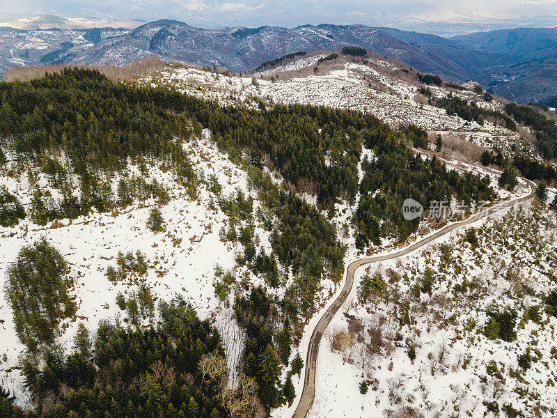 森林中道路的鸟瞰图，两侧有雪