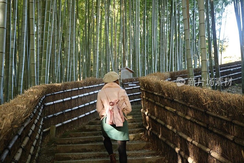 年轻女子走在竹林之间