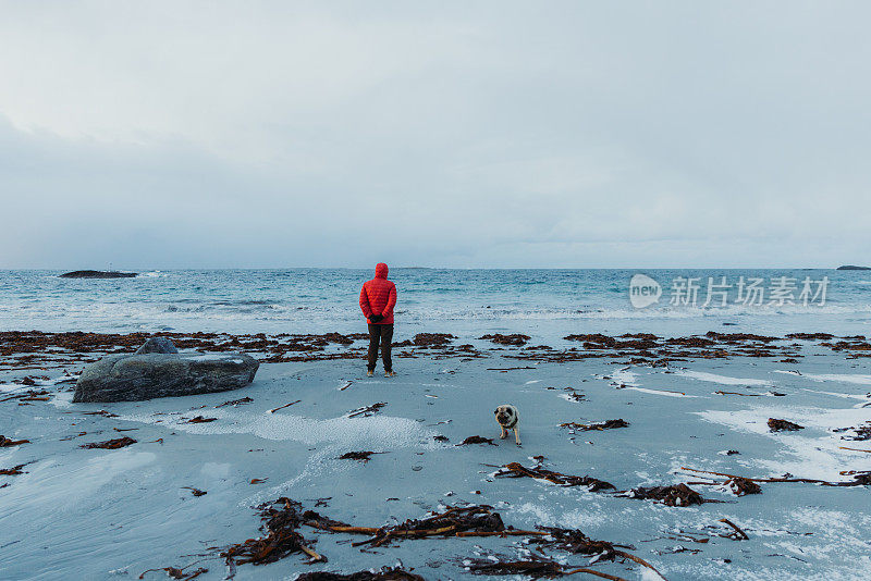 一名穿着红色夹克的男子带着一只狗在挪威风景优美的海滩上凝视着冬日的日落