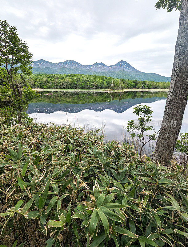 日本知子国家公园的尼科湖