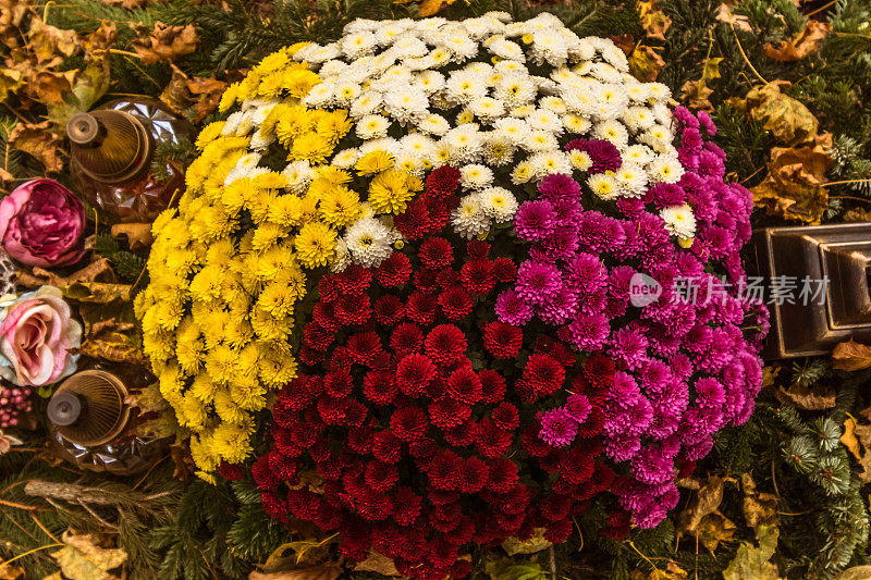 在万圣节期间，一束五颜六色的菊花放在坟墓上
