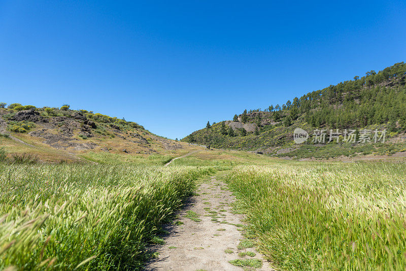 火山脚下的风景和大加那利岛的吉普车之旅。