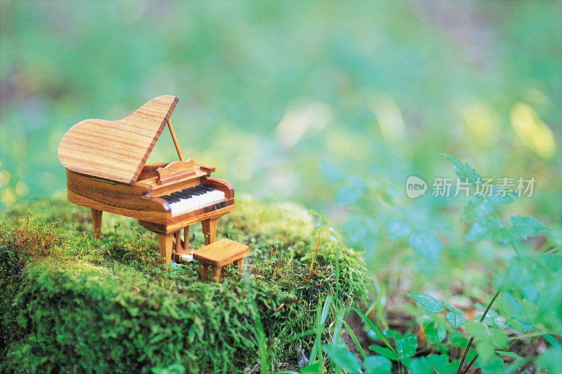 苔藓岩石上的一架小钢琴