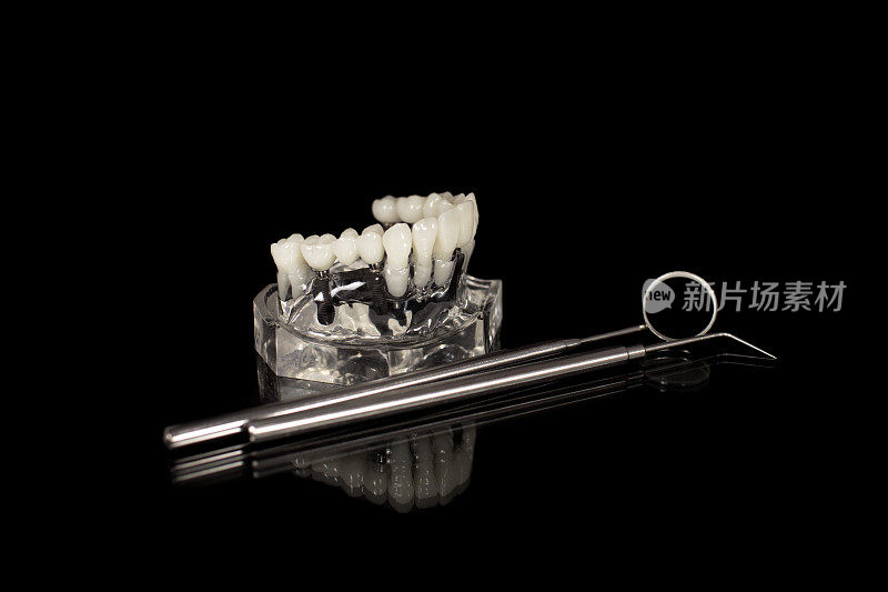 玻璃颌模型植入义齿，牙科镜和探针