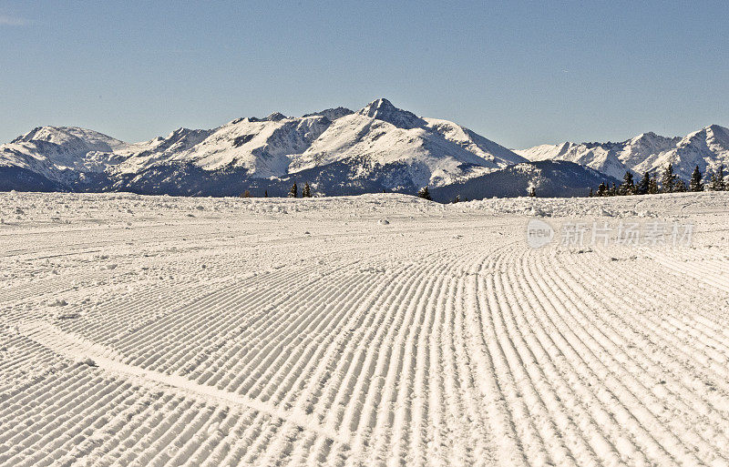 打扮的粉雪