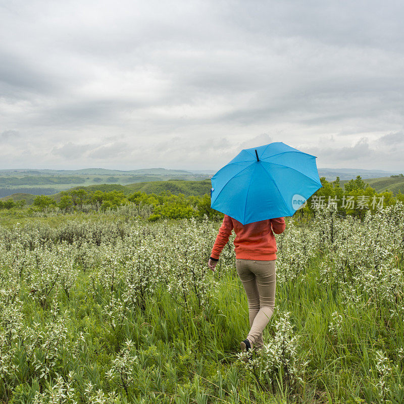 十几岁的女孩带着雨伞在乡村中行走