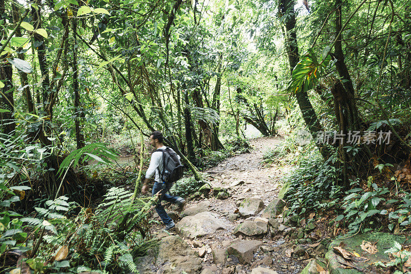 一名男子徒步穿越哥斯达黎加的特纳里奥国家公园雨林