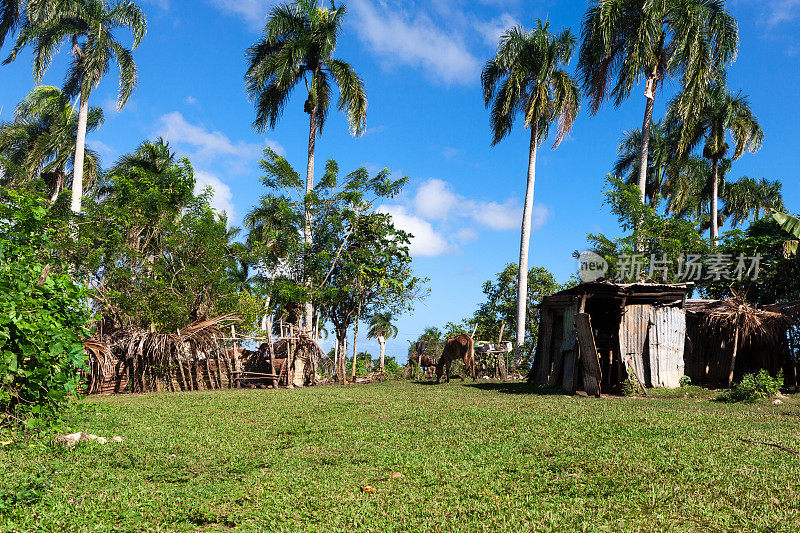 多米尼加共和国的一个小而贫穷的村庄