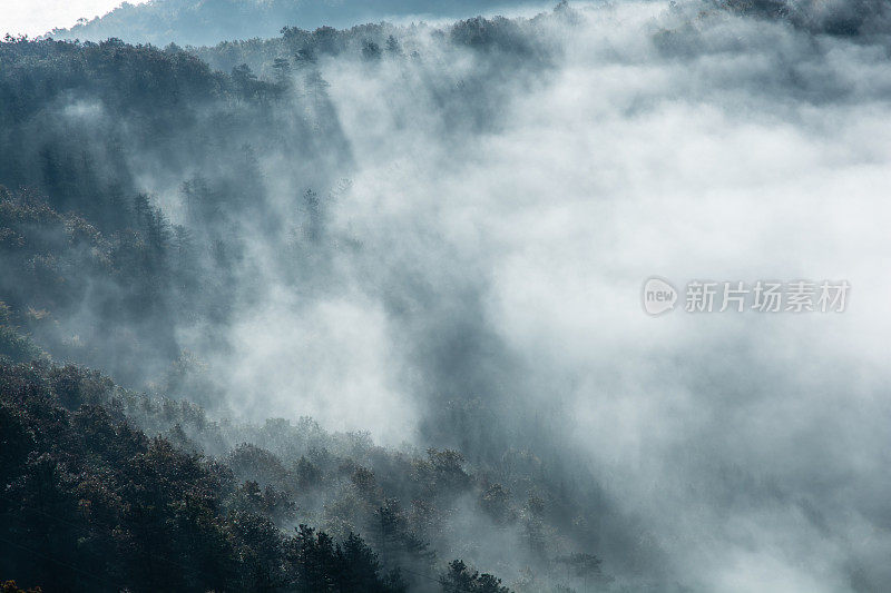 山上雾蒙蒙的景色