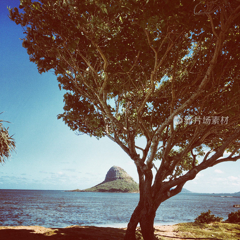 夏威夷的风景